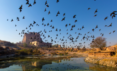 Rajasthan Tour